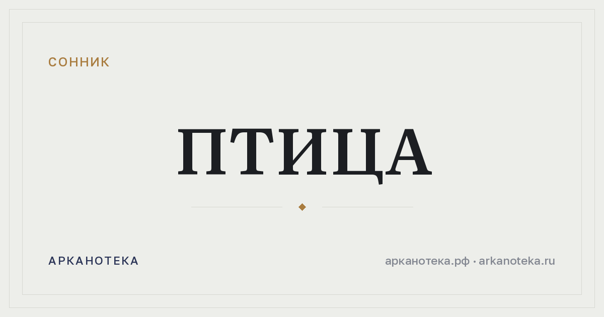 птица — Сонник, Арканотека