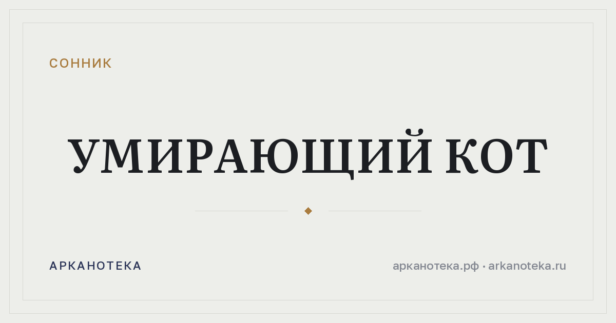 умирающий кот — Сонник, Арканотека