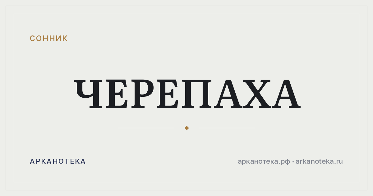 черепаха — Сонник, Арканотека