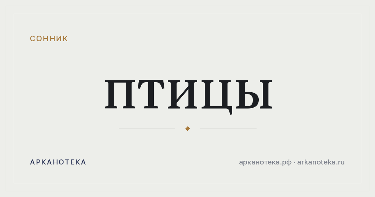 птицы — Сонник, Арканотека