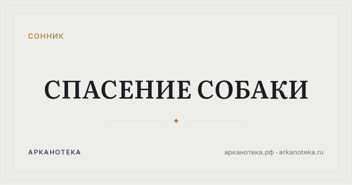 спасение собаки — Сонник, Арканотека