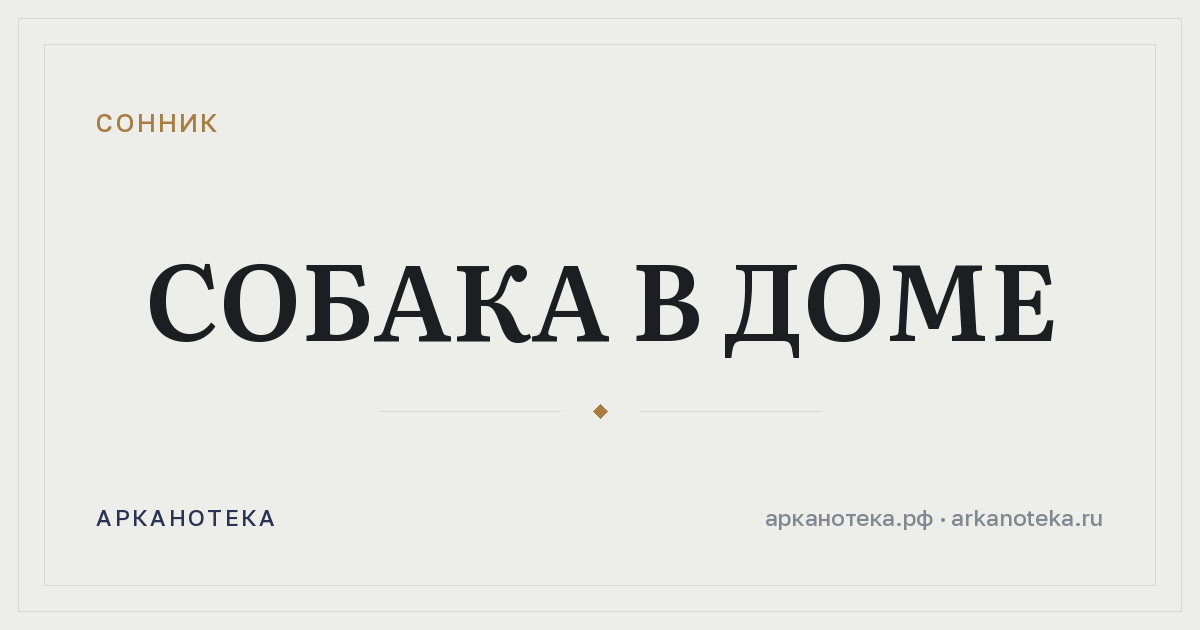 собака в доме — Сонник, Арканотека