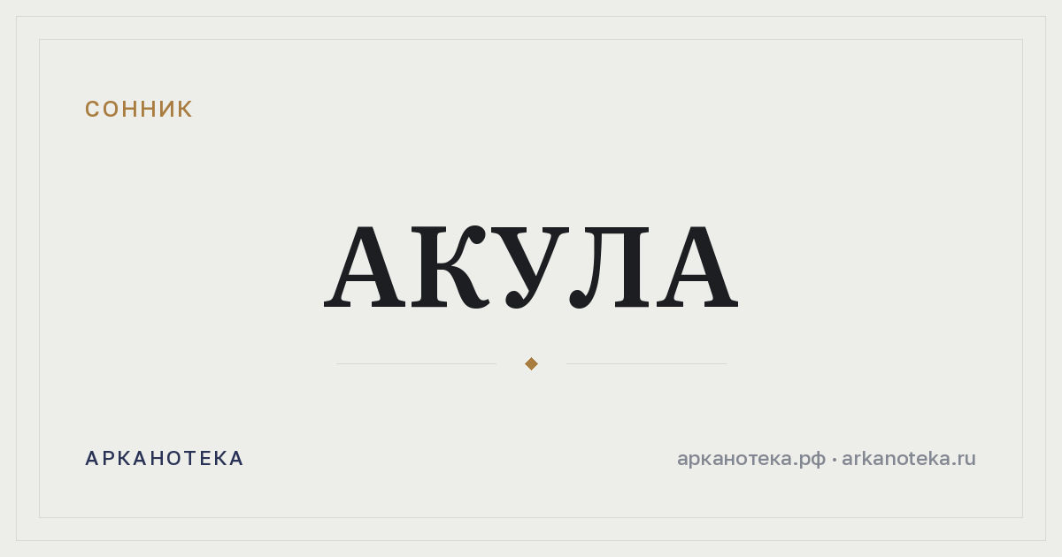акула — Сонник, Арканотека