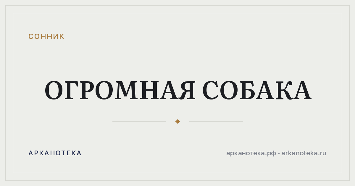 огромная собака — Сонник, Арканотека