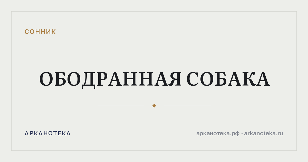 ободранная собака — Сонник, Арканотека