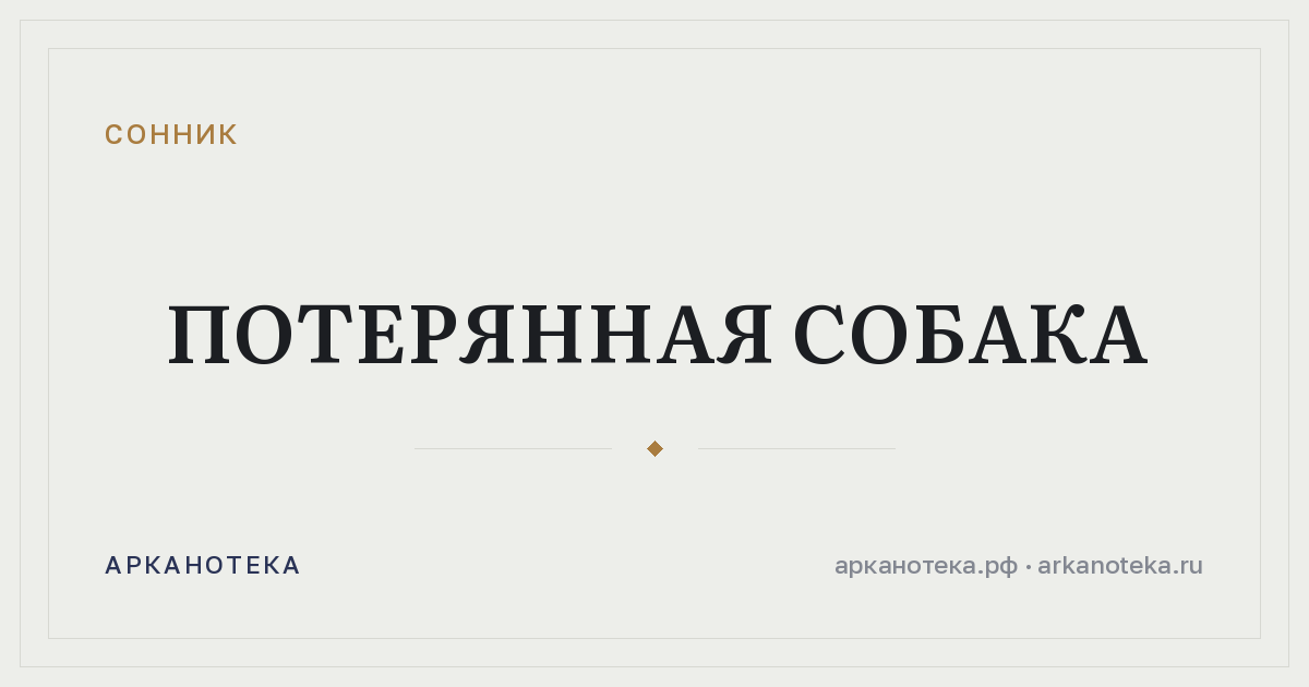 потерянная собака — Сонник, Арканотека
