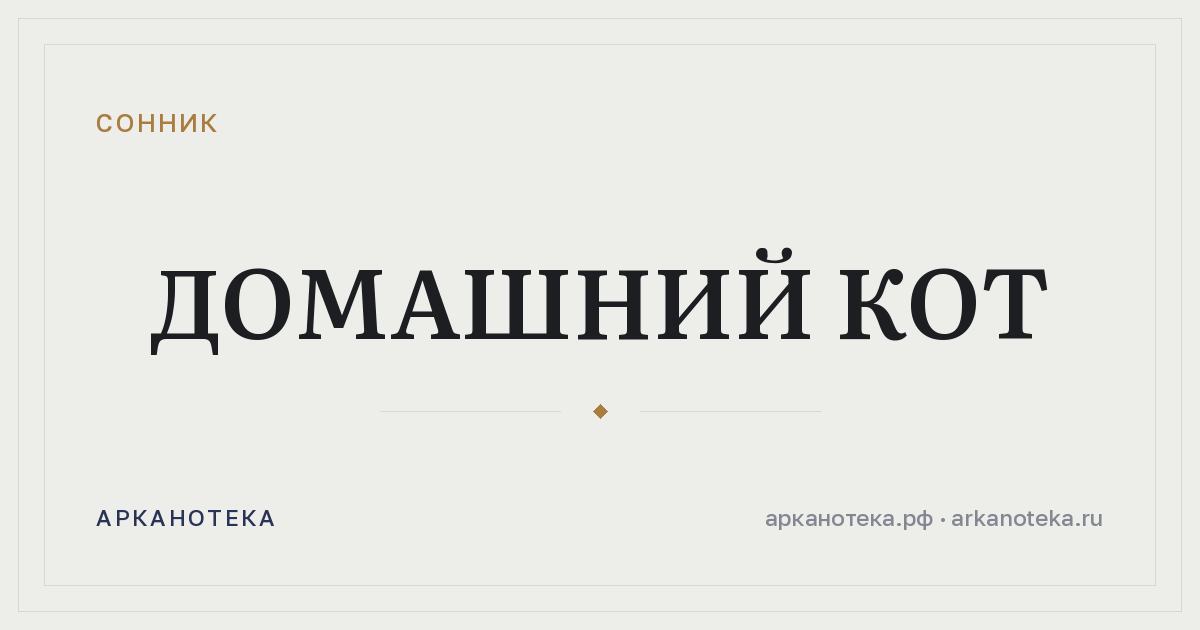 домашний кот — Сонник, Арканотека