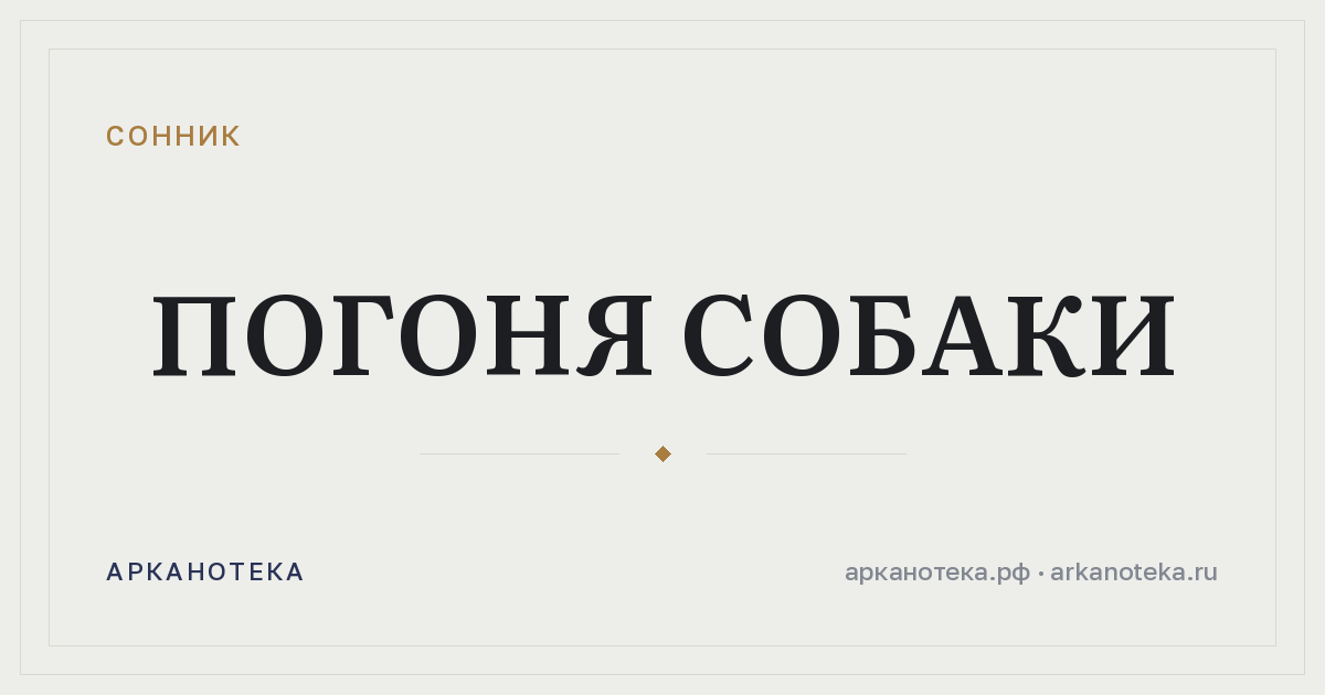 погоня собаки — Сонник, Арканотека