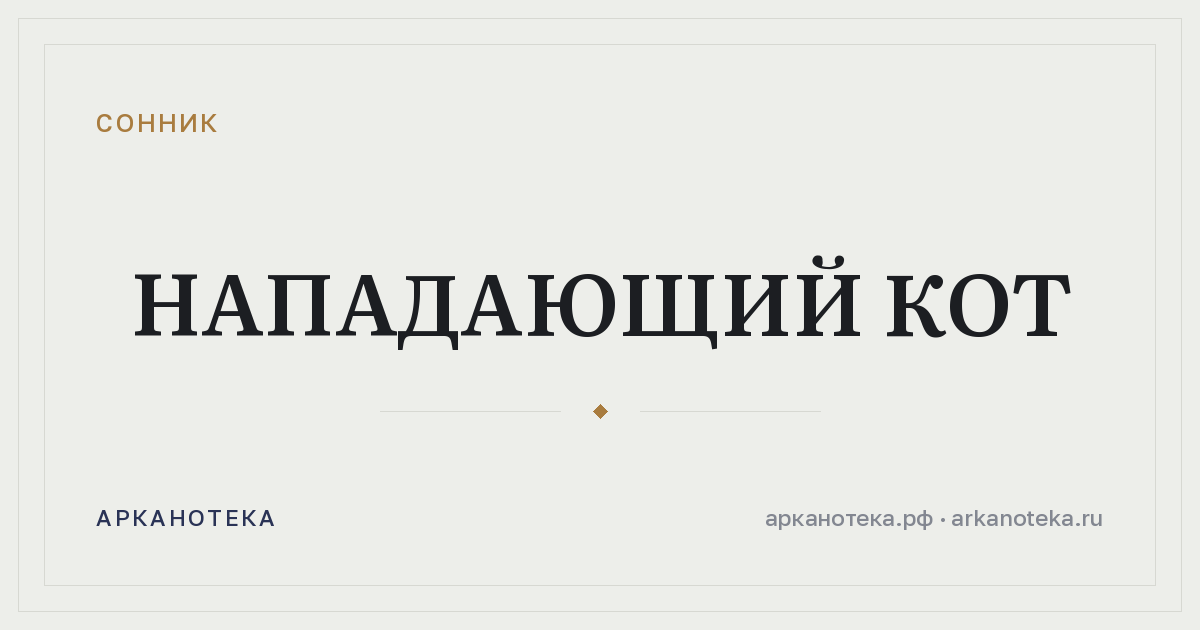 нападающий кот — Сонник, Арканотека