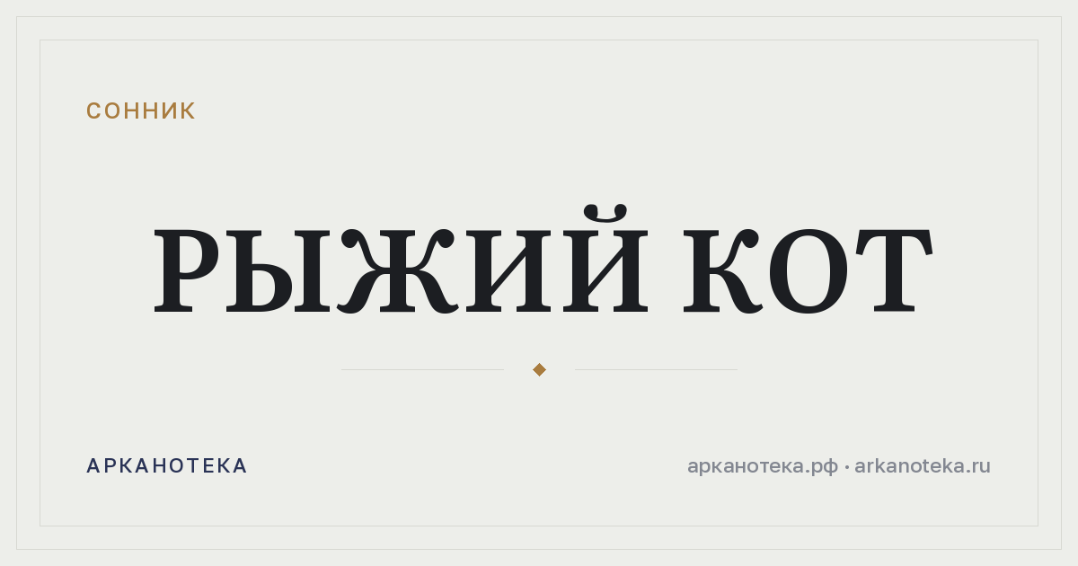 рыжий кот — Сонник, Арканотека