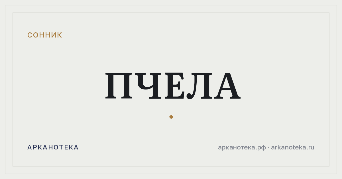 пчела — Сонник, Арканотека