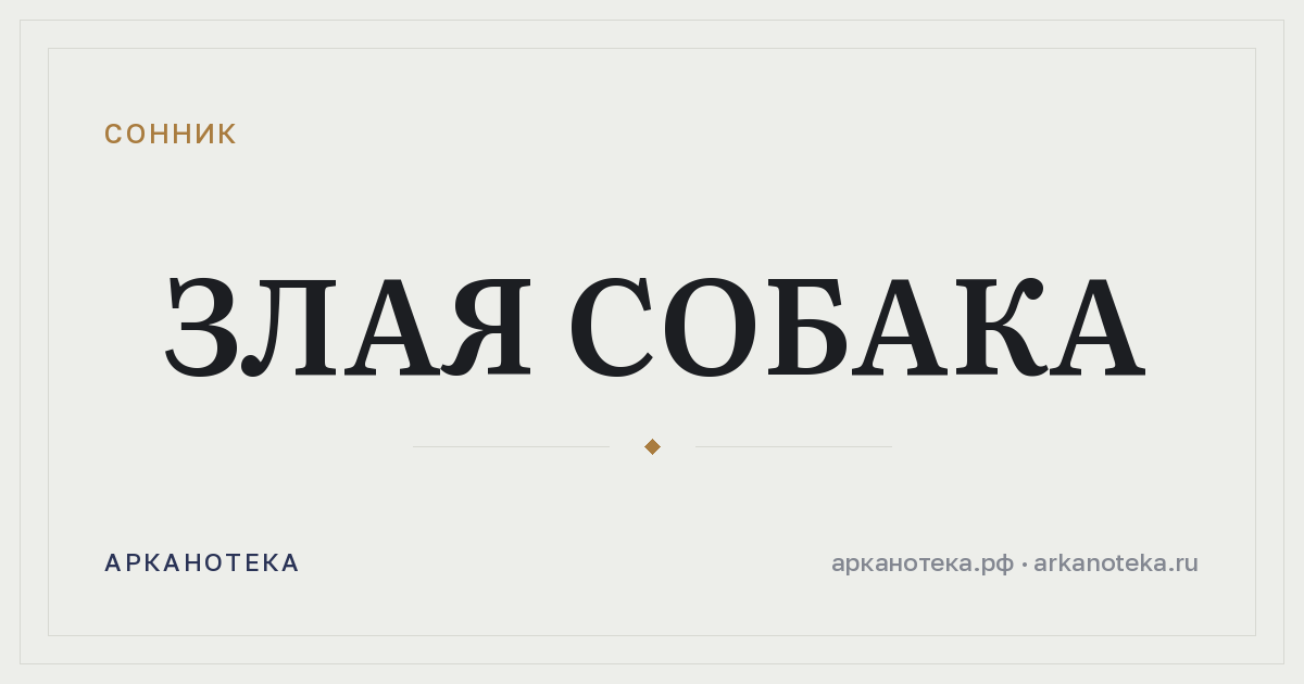 злая собака — Сонник, Арканотека