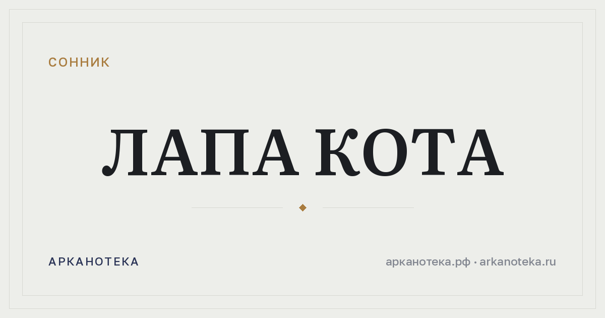 лапа кота — Сонник, Арканотека