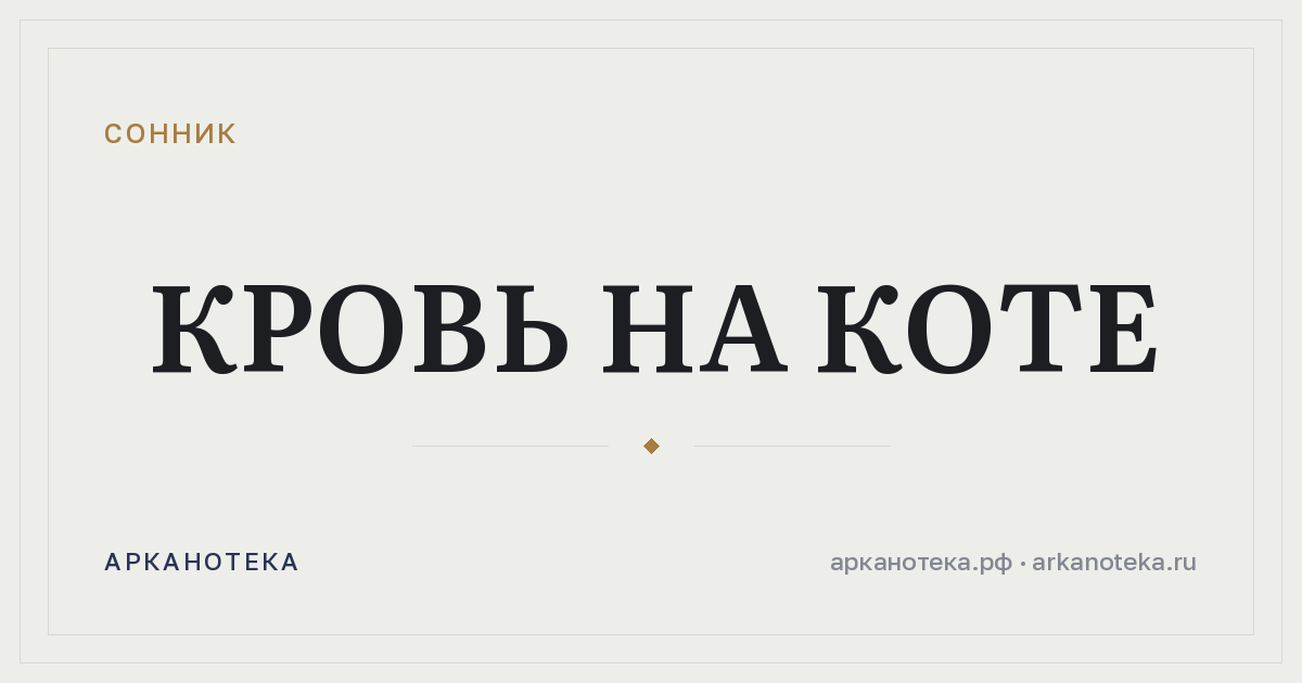 кровь на коте — Сонник, Арканотека
