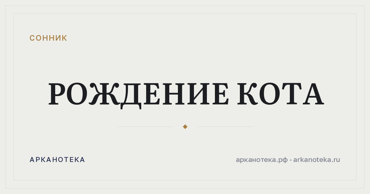 рождение кота — Сонник, Арканотека