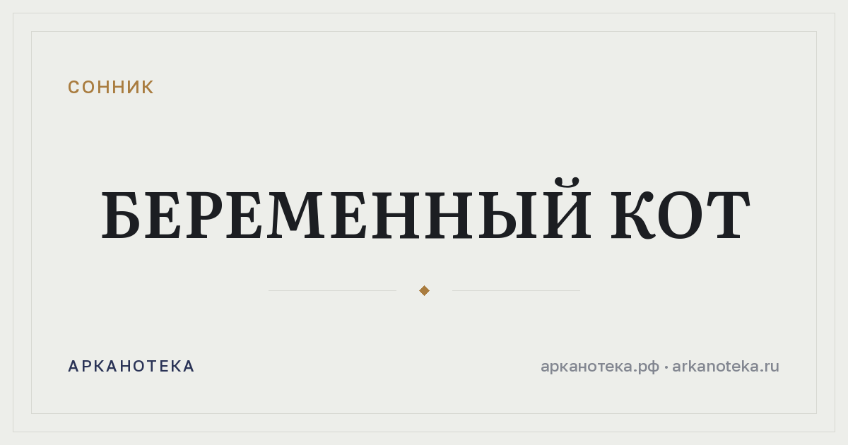 беременный кот — Сонник, Арканотека