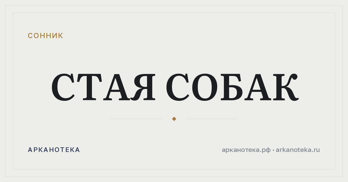 стая собак — Сонник, Арканотека