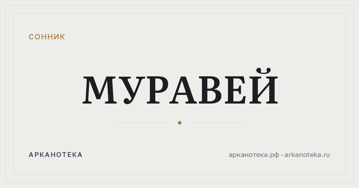 муравей — Сонник, Арканотека
