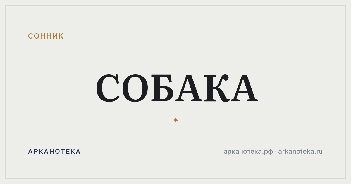 собака — Сонник, Арканотека