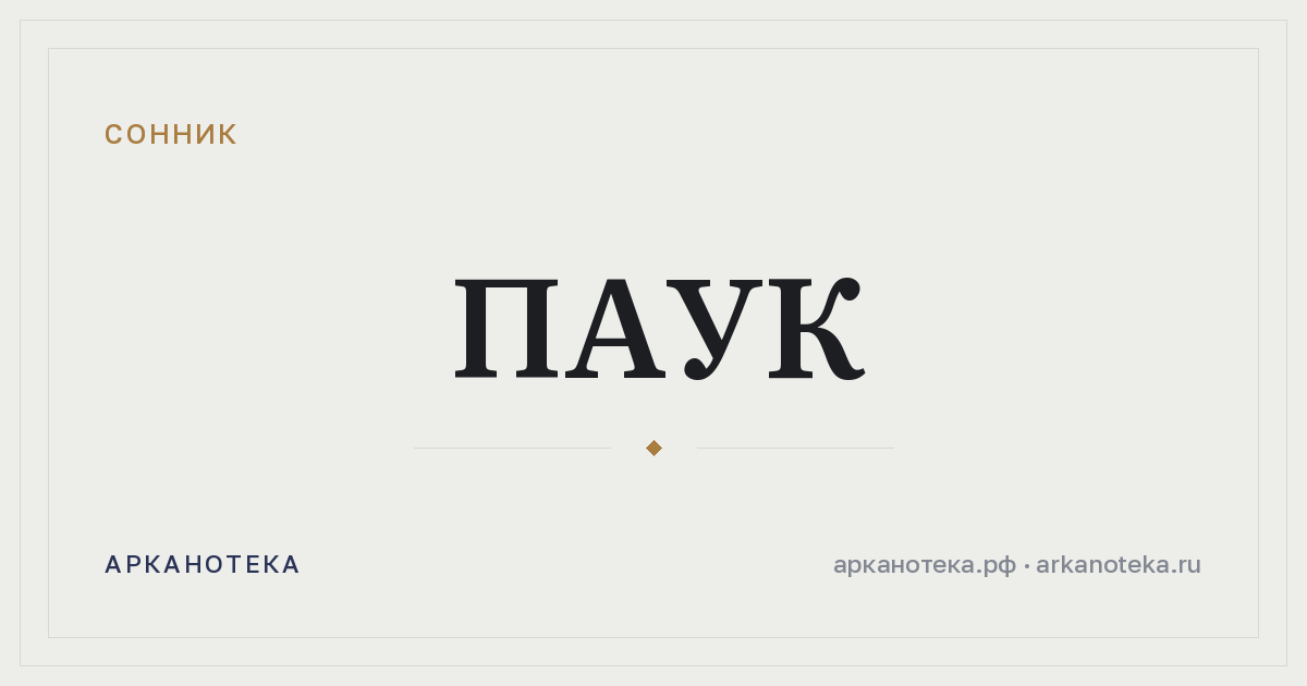 паук — Сонник, Арканотека
