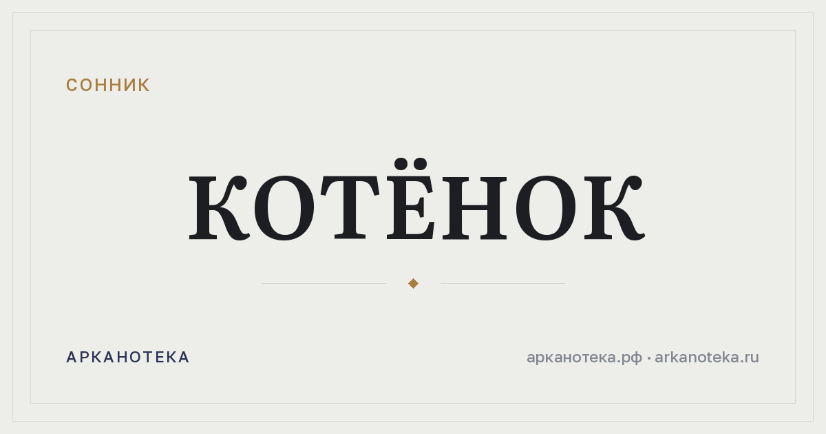котёнок — Сонник, Арканотека