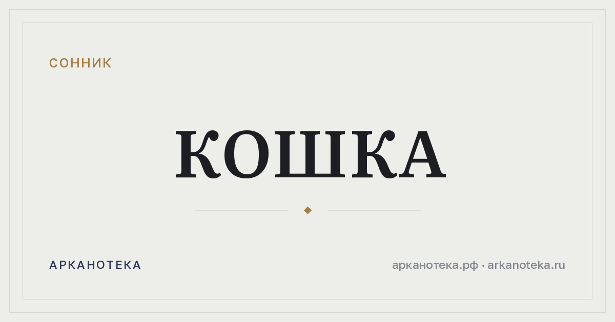кошка — Сонник, Арканотека