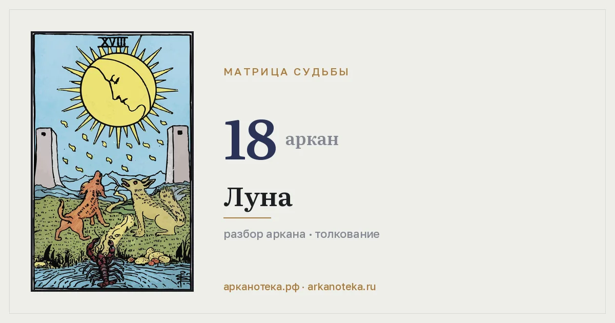 18 — Аркан года, Арканотека