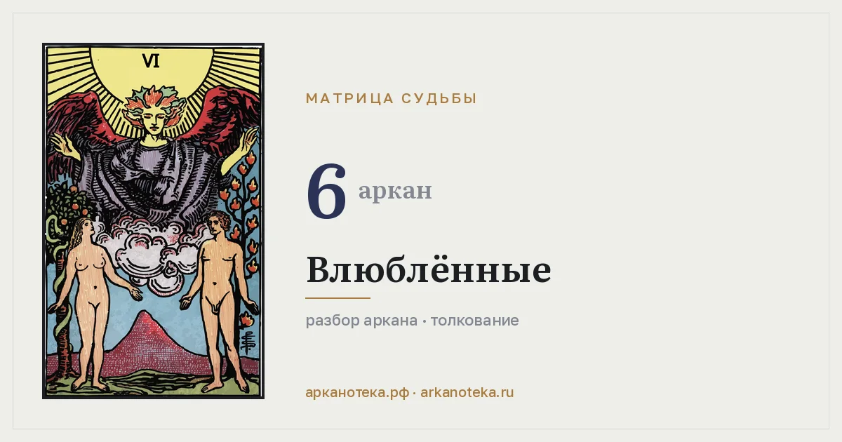 6 — Аркан года, Арканотека